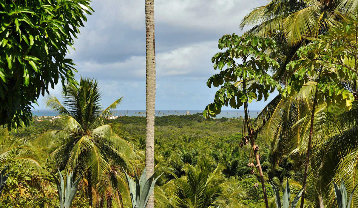 Blick vom Pool aufs Meer