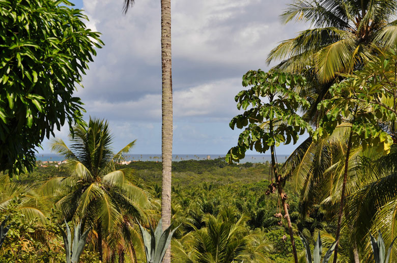 Blick vom Pool aufs Meer